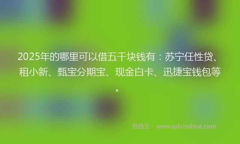 2025年的哪里可以借五干块钱有：苏宁任性贷、租小新、甄宝分期宝、现金白卡、迅捷宝钱包等。