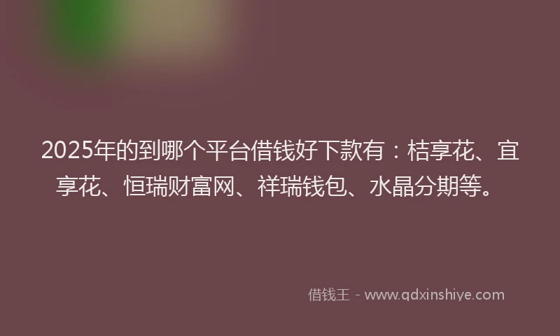 2025年的到哪个平台借钱好下款有：桔享花、宜享花、恒瑞财富网、祥瑞钱包、水晶分期等。