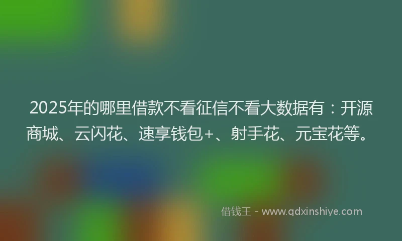 2025年的哪里借款不看征信不看大数据有：开源商城、云闪花、速享钱包+、射手花、元宝花等。