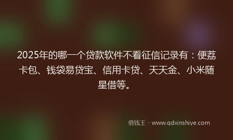 2025年的哪一个贷款软件不看征信记录有：便荔卡包、钱袋易贷宝、信用卡贷、天天金、小米随星借等。