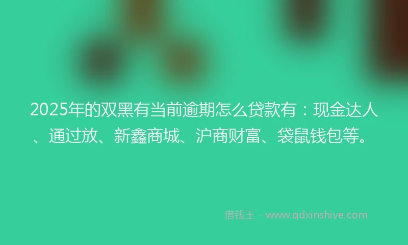 2025年的双黑有当前逾期怎么贷款有：现金达人、通过放、新鑫商城、沪商财富、袋鼠钱包等。