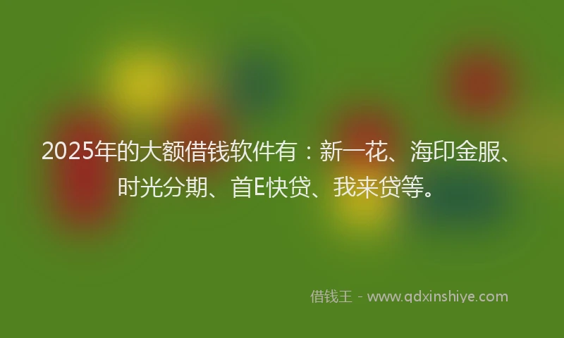 2025年的大额借钱软件有：新一花、海印金服、时光分期、首E快贷、我来贷等。