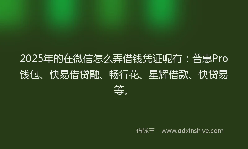 2025年的在微信怎么弄借钱凭证呢有：普惠Pro钱包、快易借贷融、畅行花、星辉借款、快贷易等。