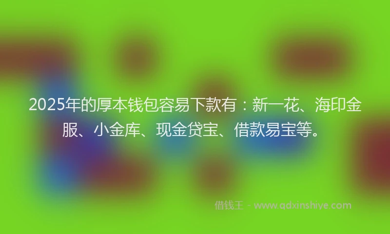 2025年的厚本钱包容易下款有：新一花、海印金服、小金库、现金贷宝、借款易宝等。