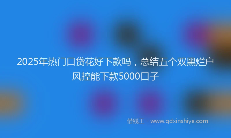 2025年热门口贷花好下款吗，总结五个双黑烂户风控能下款5000口子