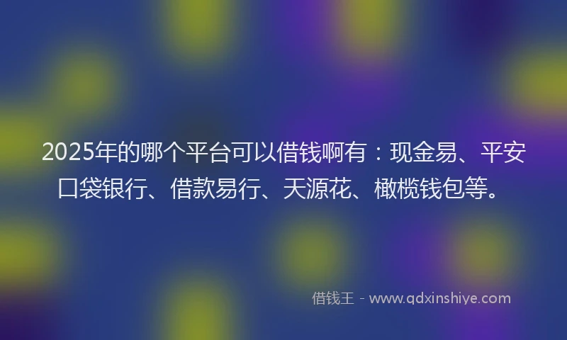 2025年的哪个平台可以借钱啊有：现金易、平安口袋银行、借款易行、天源花、橄榄钱包等。