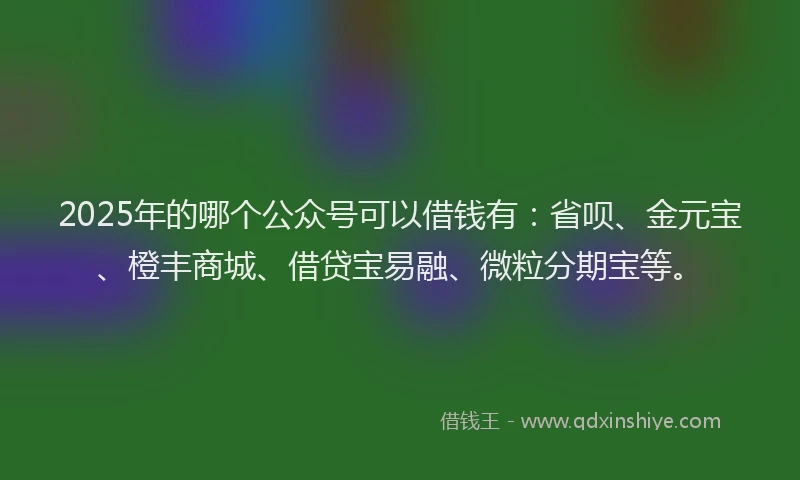 2025年的哪个公众号可以借钱有：省呗、金元宝、橙丰商城、借贷宝易融、微粒分期宝等。