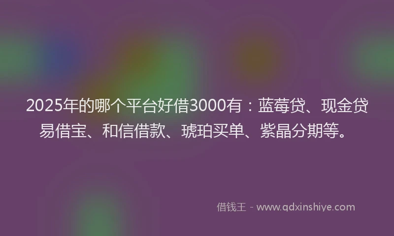 2025年的哪个平台好借3000有：蓝莓贷、现金贷易借宝、和信借款、琥珀买单、紫晶分期等。