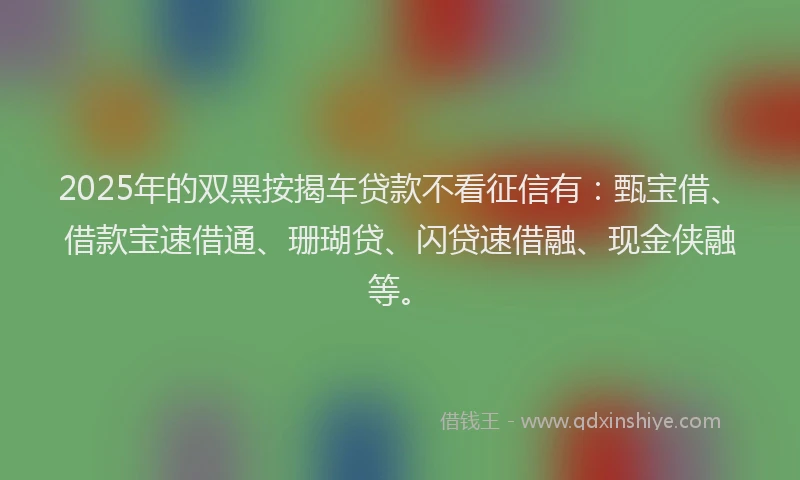 2025年的双黑按揭车贷款不看征信有：甄宝借、借款宝速借通、珊瑚贷、闪贷速借融、现金侠融等。