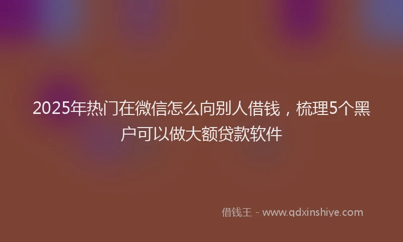 2025年热门在微信怎么向别人借钱，梳理5个黑户可以做大额贷款软件