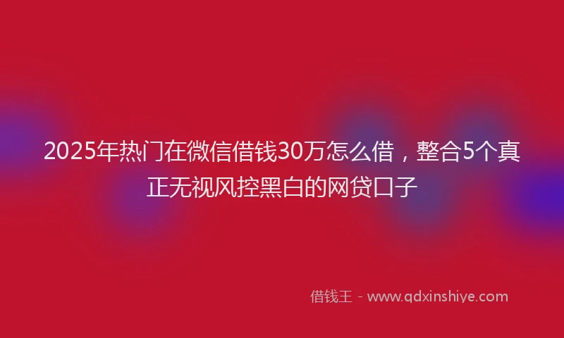 2025年热门在微信借钱30万怎么借，整合5个真正无视风控黑白的网贷口子