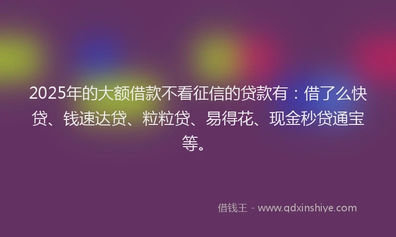 2025年的大额借款不看征信的贷款有：借了么快贷、钱速达贷、粒粒贷、易得花、现金秒贷通宝等。