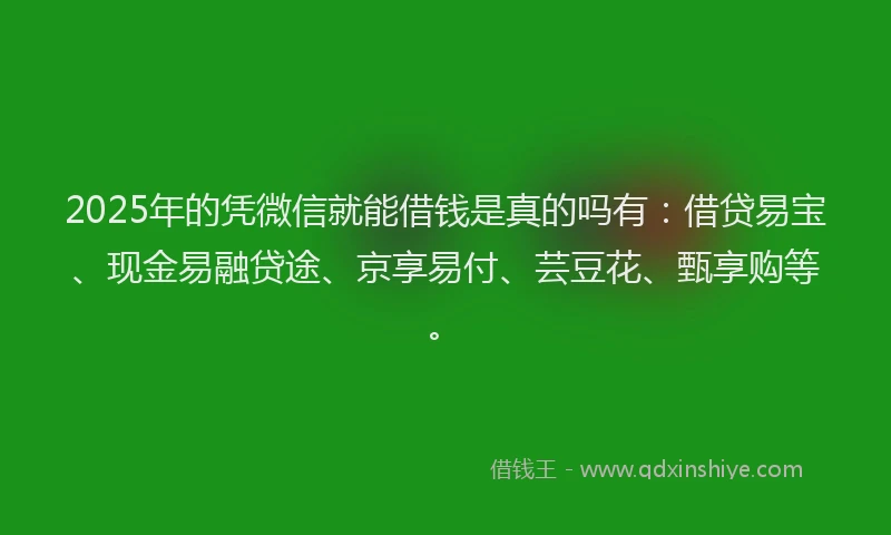 2025年的凭微信就能借钱是真的吗有：借贷易宝、现金易融贷途、京享易付、芸豆花、甄享购等。