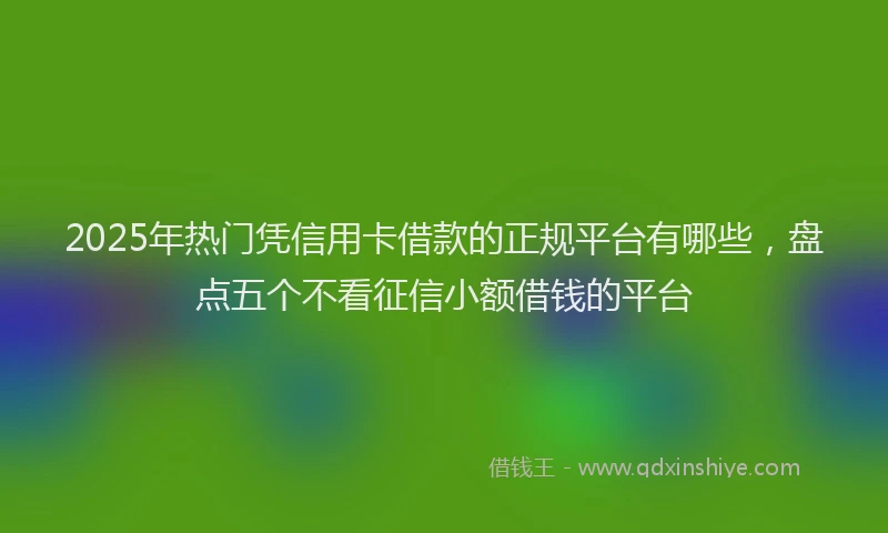 2025年热门凭信用卡借款的正规平台有哪些，盘点五个不看征信小额借钱的平台