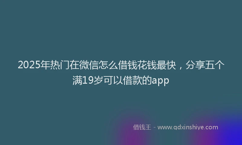 2025年热门在微信怎么借钱花钱最快，分享五个满19岁可以借款的app