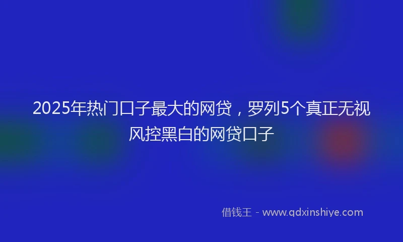 2025年热门口子最大的网贷，罗列5个真正无视风控黑白的网贷口子