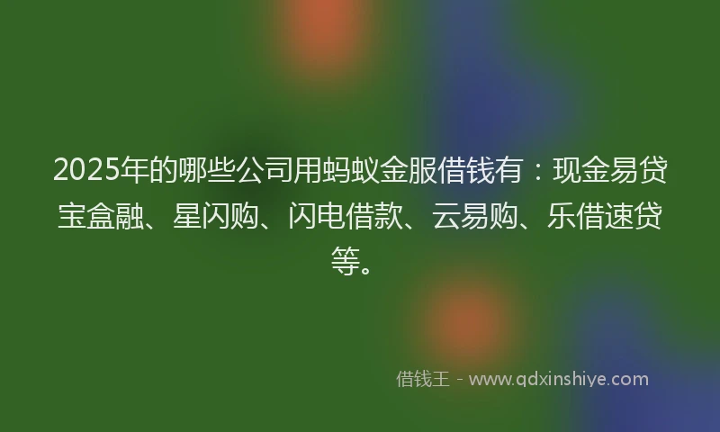 2025年的哪些公司用蚂蚁金服借钱有：现金易贷宝盒融、星闪购、闪电借款、云易购、乐借速贷等。