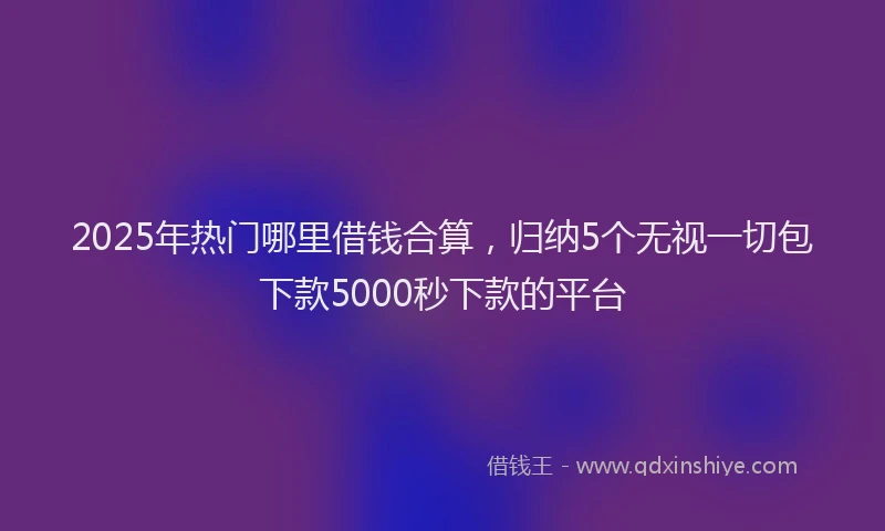 2025年热门哪里借钱合算，归纳5个无视一切包下款5000秒下款的平台