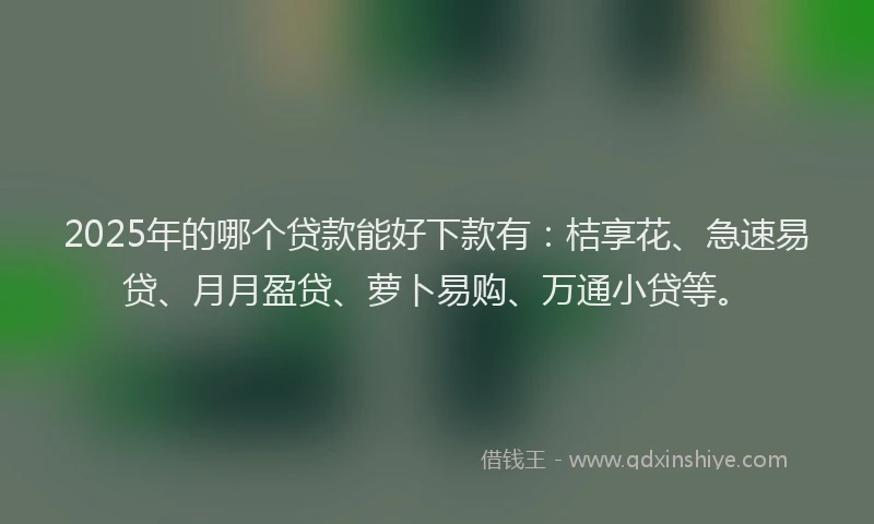 2025年的哪个贷款能好下款有：桔享花、急速易贷、月月盈贷、萝卜易购、万通小贷等。