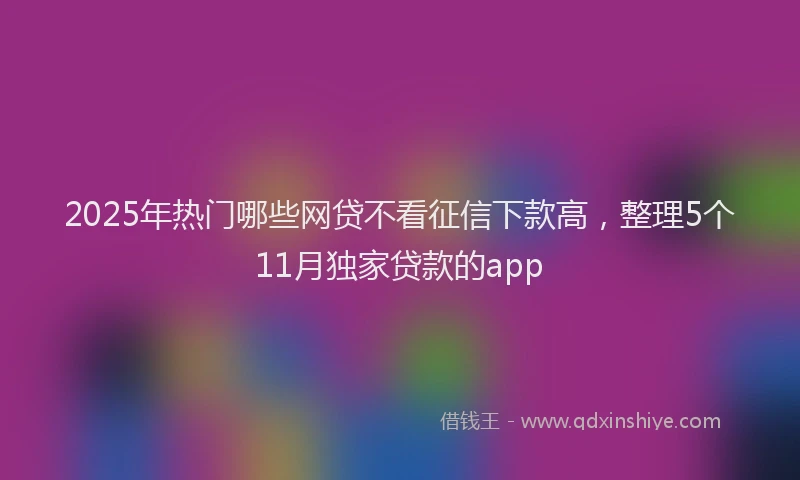 2025年热门哪些网贷不看征信下款高，整理5个11月独家贷款的app