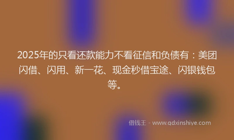 2025年的只看还款能力不看征信和负债有：美团闪借、闪用、新一花、现金秒借宝途、闪银钱包等。