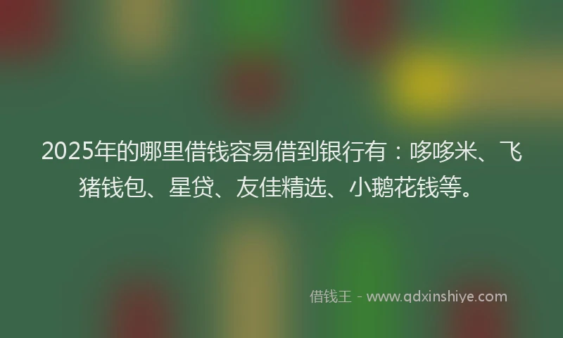 2025年的哪里借钱容易借到银行有：哆哆米、飞猪钱包、星贷、友佳精选、小鹅花钱等。