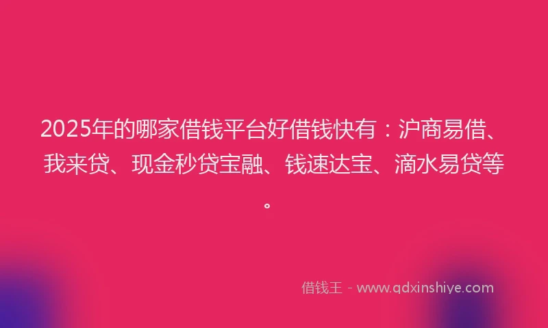 2025年的哪家借钱平台好借钱快有：沪商易借、我来贷、现金秒贷宝融、钱速达宝、滴水易贷等。