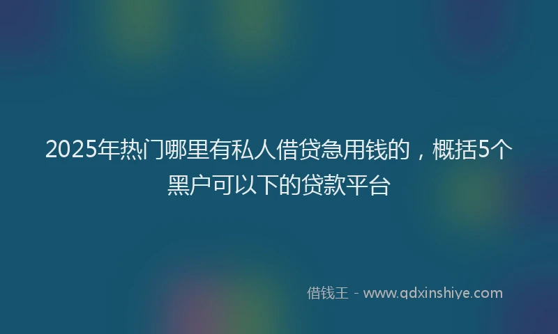 2025年热门哪里有私人借贷急用钱的，概括5个黑户可以下的贷款平台