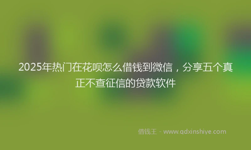 2025年热门在花呗怎么借钱到微信，分享五个真正不查征信的贷款软件