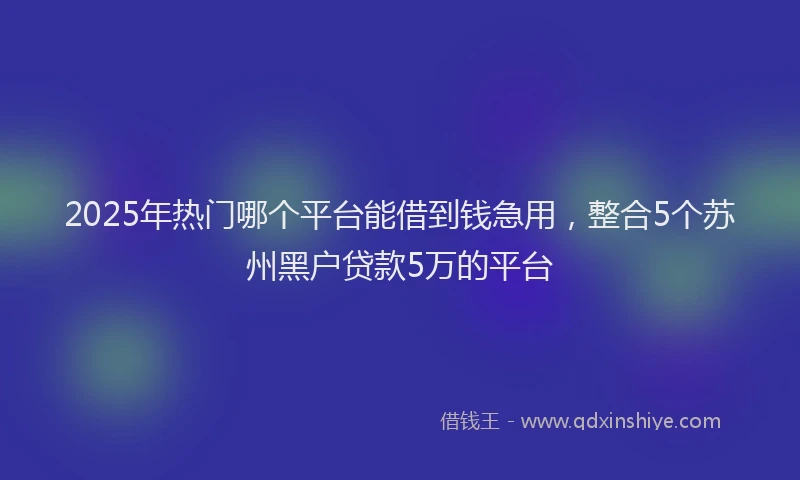 2025年热门哪个平台能借到钱急用，整合5个苏州黑户贷款5万的平台