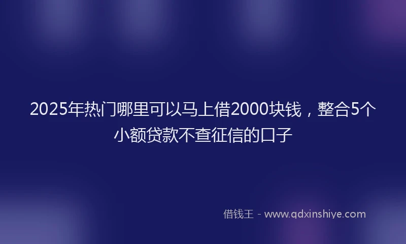 2025年热门哪里可以马上借2000块钱，整合5个小额贷款不查征信的口子