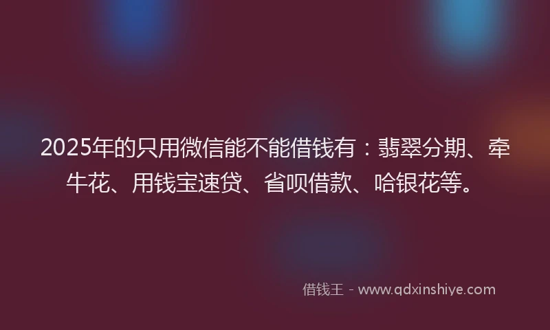 2025年的只用微信能不能借钱有：翡翠分期、牵牛花、用钱宝速贷、省呗借款、哈银花等。