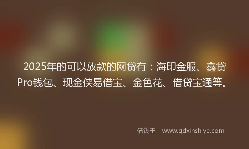 2025年的可以放款的网贷有：海印金服、鑫贷Pro钱包、现金侠易借宝、金色花、借贷宝通等。