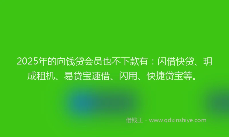 2025年的向钱贷会员也不下款有：闪借快贷、玥成租机、易贷宝速借、闪用、快捷贷宝等。