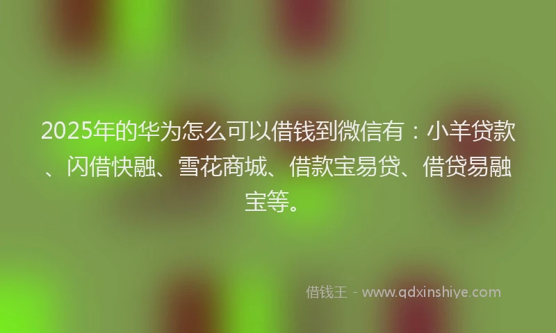 2025年的华为怎么可以借钱到微信有：小羊贷款、闪借快融、雪花商城、借款宝易贷、借贷易融宝等。