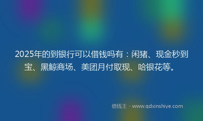 2025年的到银行可以借钱吗有：闲猪、现金秒到宝、黑鲸商场、美团月付取现、哈银花等。
