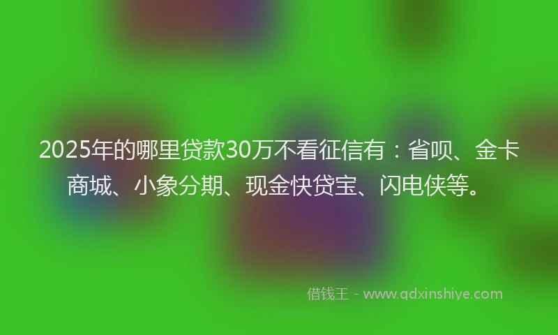 2025年的哪里贷款30万不看征信有：省呗、金卡商城、小象分期、现金快贷宝、闪电侠等。