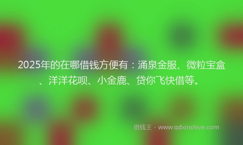 2025年的在哪借钱方便有：涌泉金服、微粒宝盒、洋洋花呗、小金鹿、贷你飞快借等。