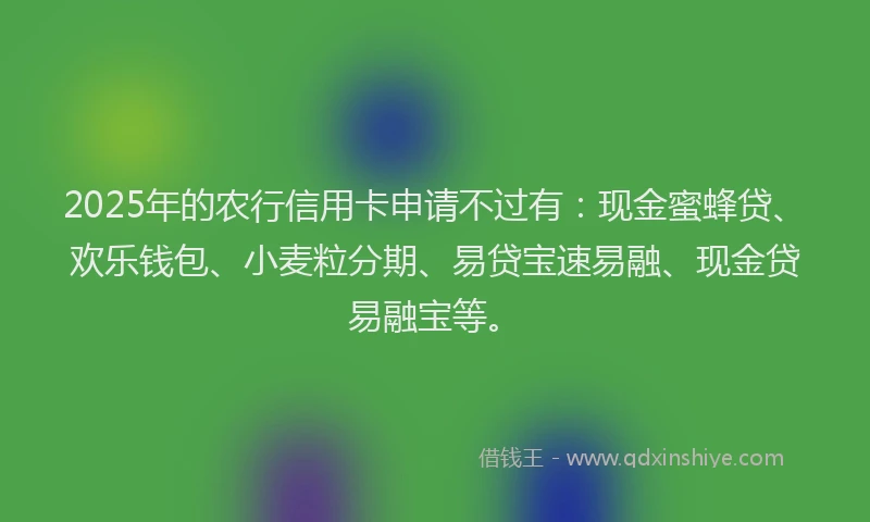 2025年的农行信用卡申请不过有：现金蜜蜂贷、欢乐钱包、小麦粒分期、易贷宝速易融、现金贷易融宝等。