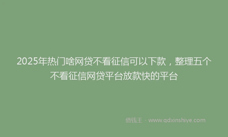 2025年热门啥网贷不看征信可以下款，整理五个不看征信网贷平台放款快的平台