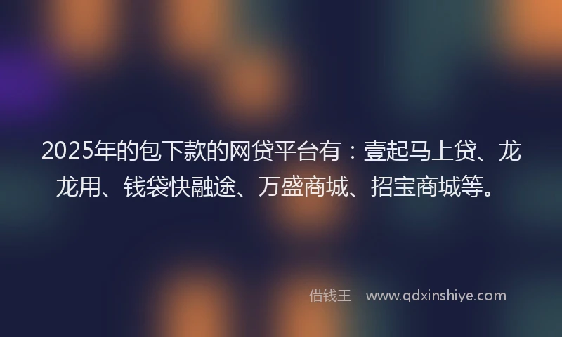 2025年的包下款的网贷平台有：壹起马上贷、龙龙用、钱袋快融途、万盛商城、招宝商城等。