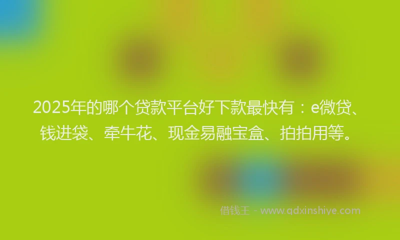 2025年的哪个贷款平台好下款最快有：e微贷、钱进袋、牵牛花、现金易融宝盒、拍拍用等。