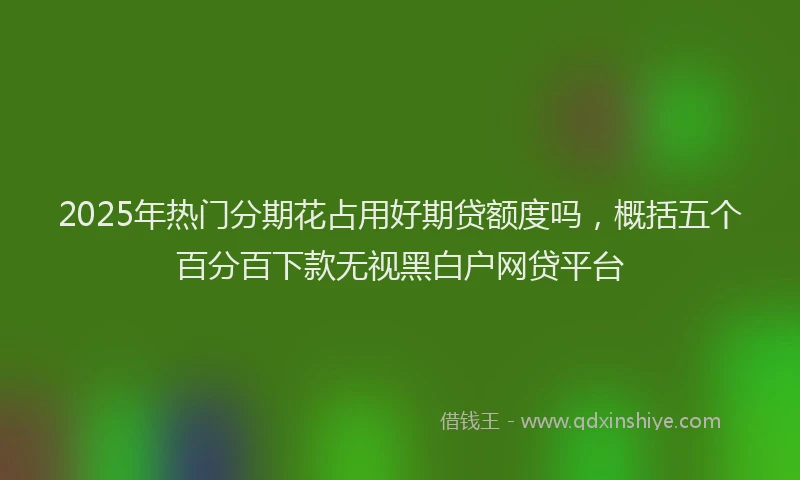 2025年热门分期花占用好期贷额度吗，概括五个百分百下款无视黑白户网贷平台