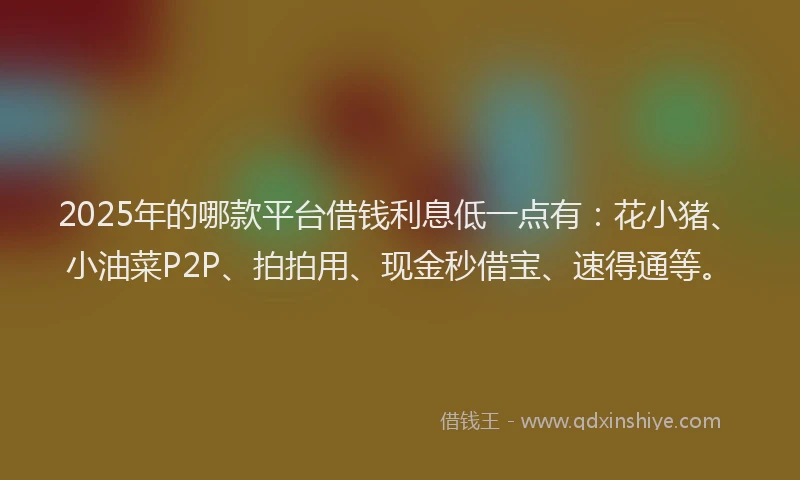 2025年的哪款平台借钱利息低一点有：花小猪、小油菜P2P、拍拍用、现金秒借宝、速得通等。