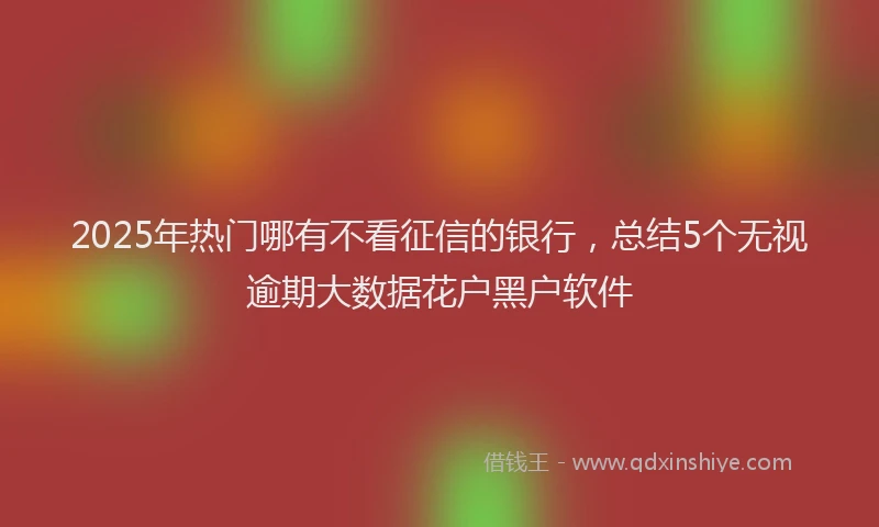 2025年热门哪有不看征信的银行，总结5个无视逾期大数据花户黑户软件