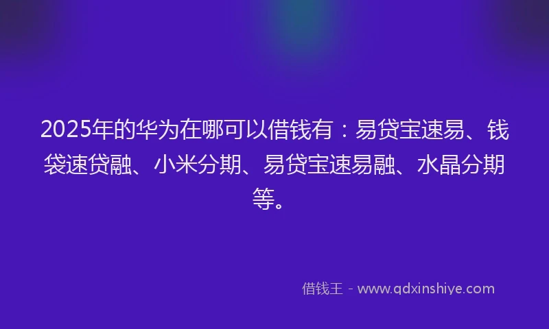 2025年的华为在哪可以借钱有：易贷宝速易、钱袋速贷融、小米分期、易贷宝速易融、水晶分期等。