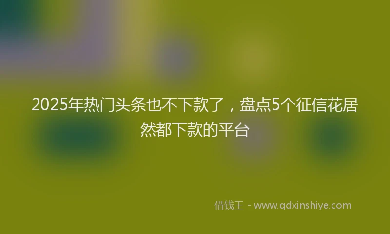 2025年热门头条也不下款了，盘点5个征信花居然都下款的平台