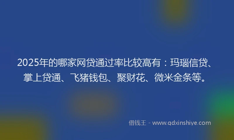 2025年的哪家网贷通过率比较高有：玛瑙信贷、掌上贷通、飞猪钱包、聚财花、微米金条等。