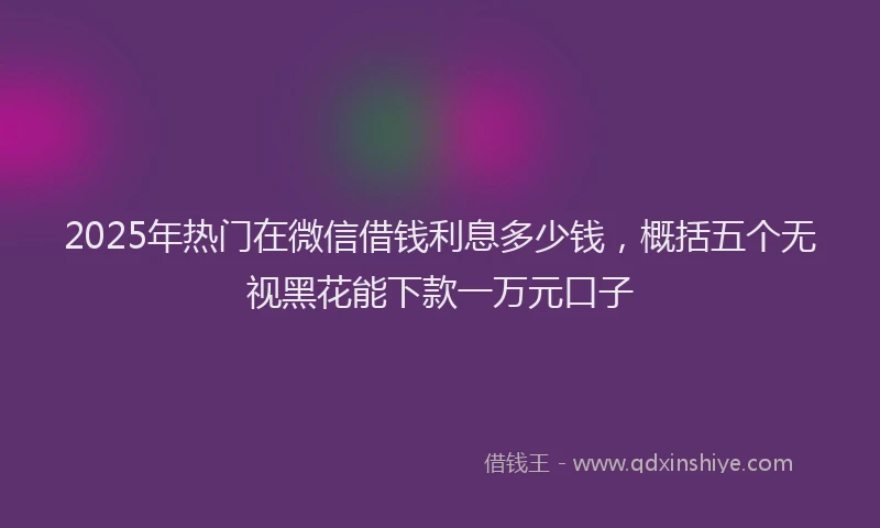 2025年热门在微信借钱利息多少钱，概括五个无视黑花能下款一万元口子