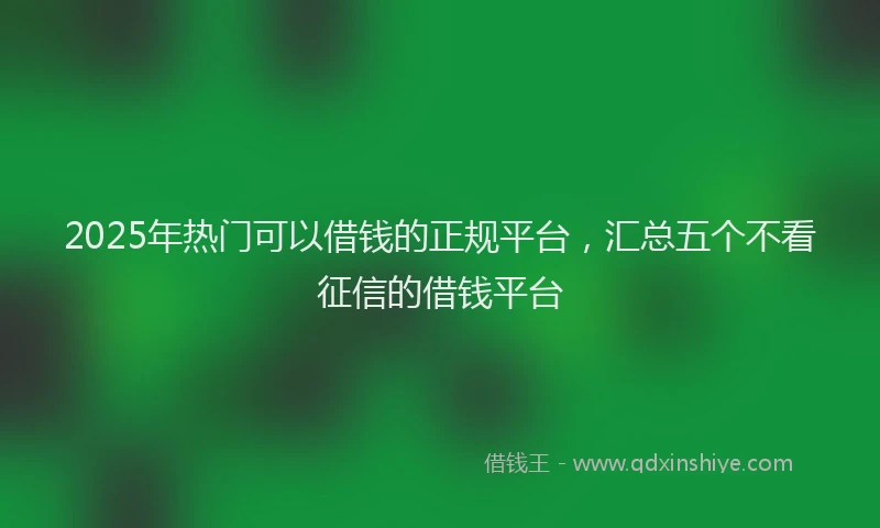 2025年热门可以借钱的正规平台，汇总五个不看征信的借钱平台
